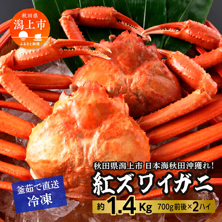 【ふるさと納税】ズワイガニ 2匹 約 1.4kg 冷凍 紅ズワイガニ ベニズワイガニ ずわい ズワイ蟹 ずわいがに ずわい蟹 姿 ボイル 訳あり 蟹 カニ かに 国産 蟹 不揃い 傷 緊急 カニみそ入り 潟上市 【安田水産】
