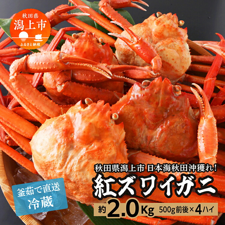 【ふるさと納税】 冷蔵 ズワイガニ 4匹 約 2kg 紅ズワイガニ ベニズワイガニ ずわい ズワイ蟹 ずわいがに ずわい蟹 姿 ボイル 訳あり 蟹 カニ かに 国産 蟹 不揃い 傷 緊急 カニみそ入り秋田 潟上市 【安田水産】
