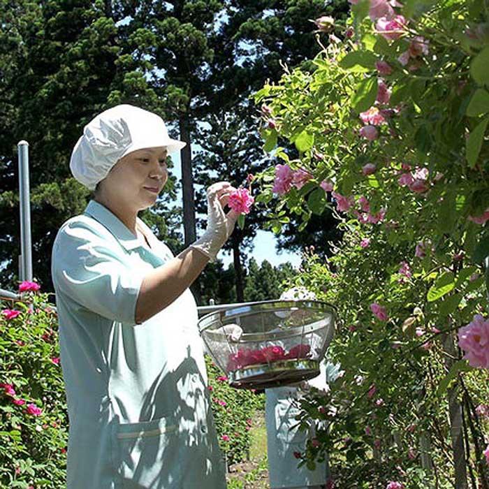 市場 ふるさと納税 香る薔薇物語セット 秋田発