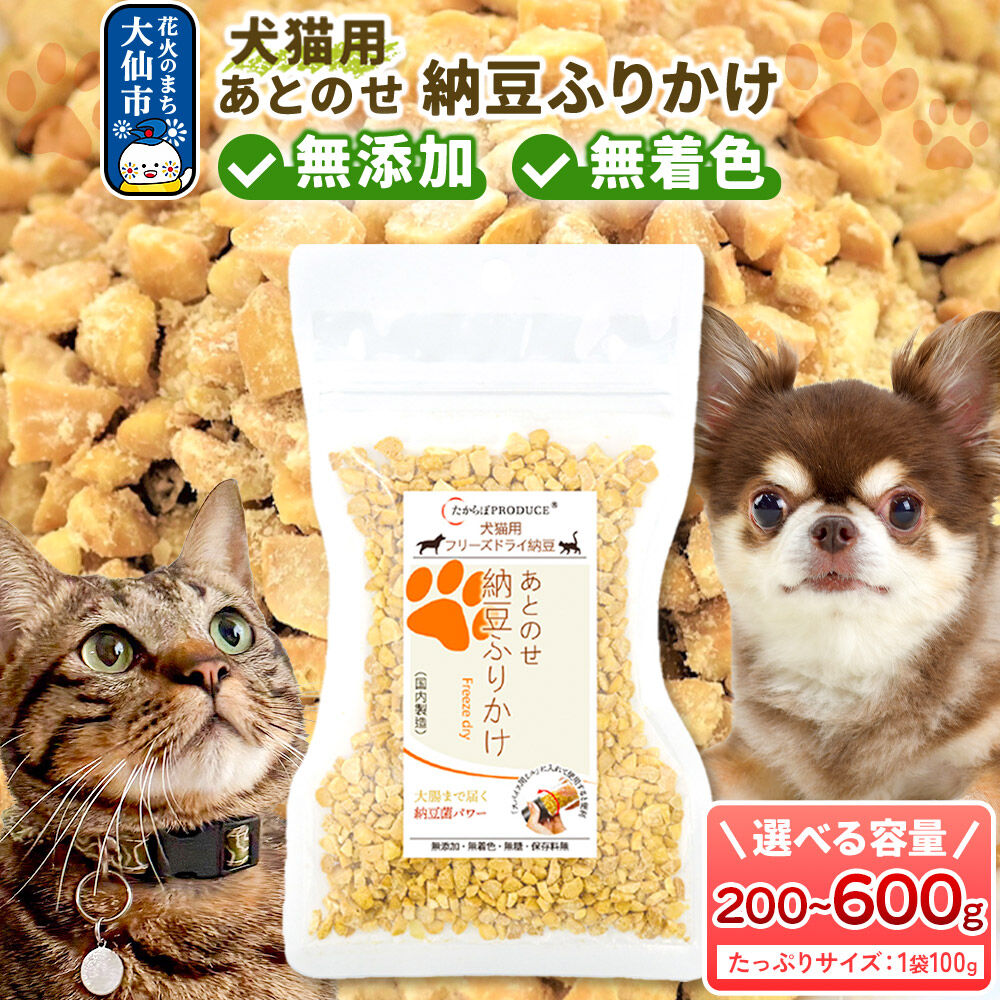 お米特集