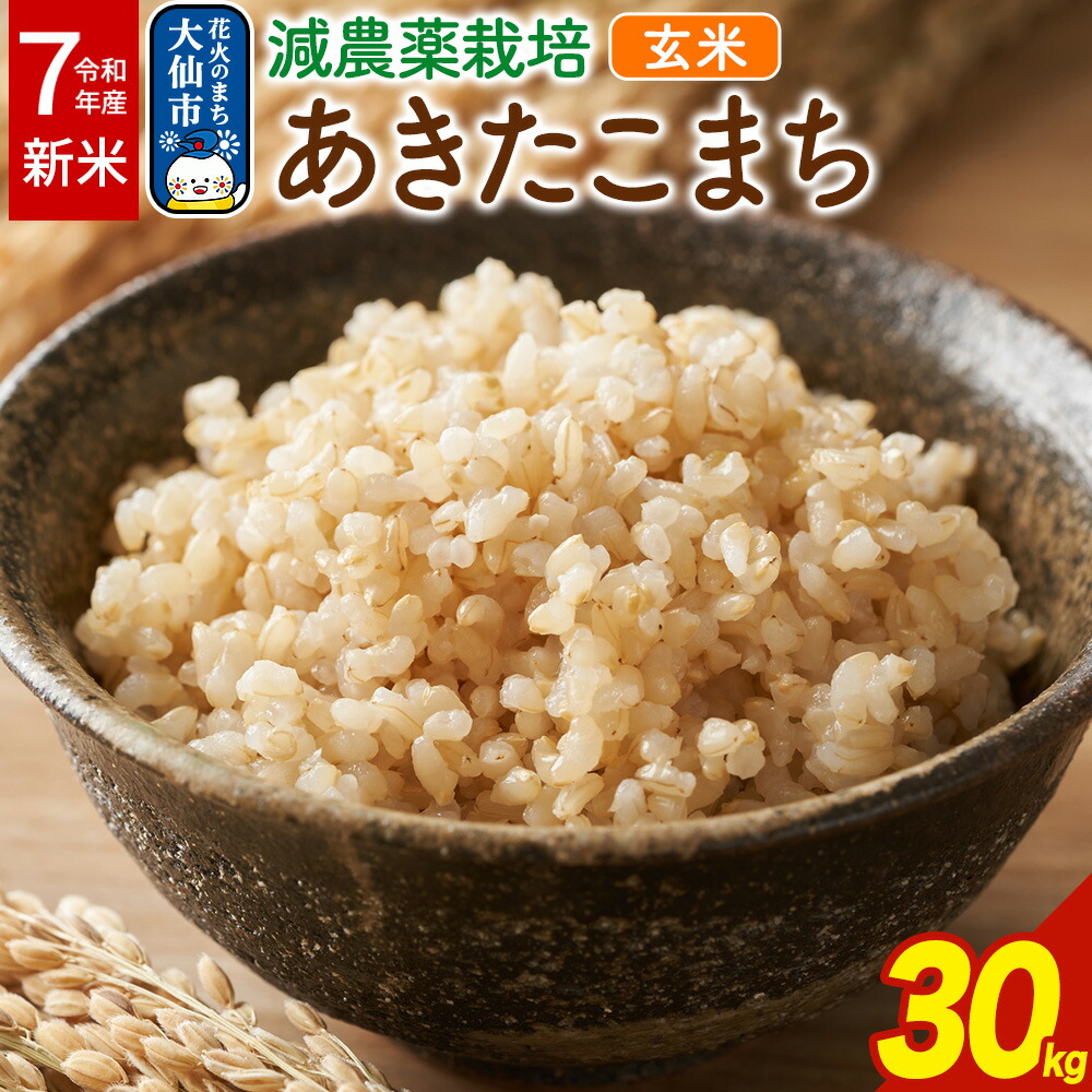 楽天市場】【ふるさと納税】3-D コシヒカリ 玄米 会津 30kg 令和7年産