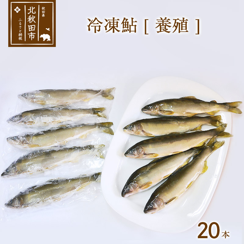 国内在庫 冷凍鮎 個包装 20本 魚介類・水産加工品