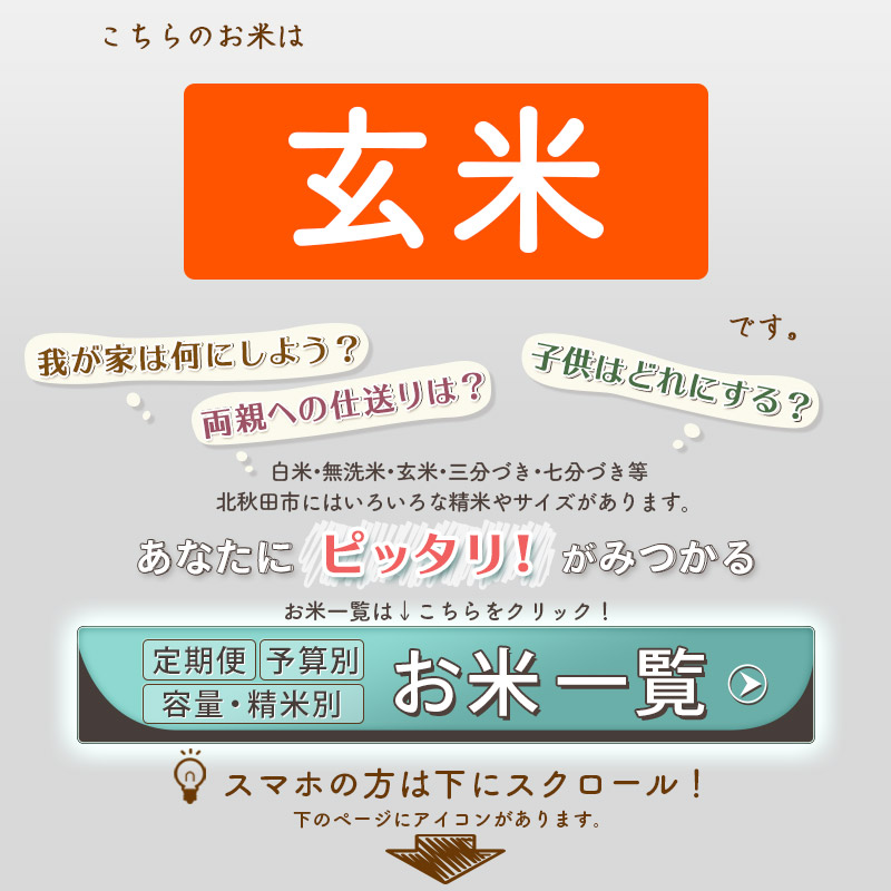 定期便5ヶ月》 秋田県産 あきたこまち 計50kg 10kg (2kg×5袋)×5回 お