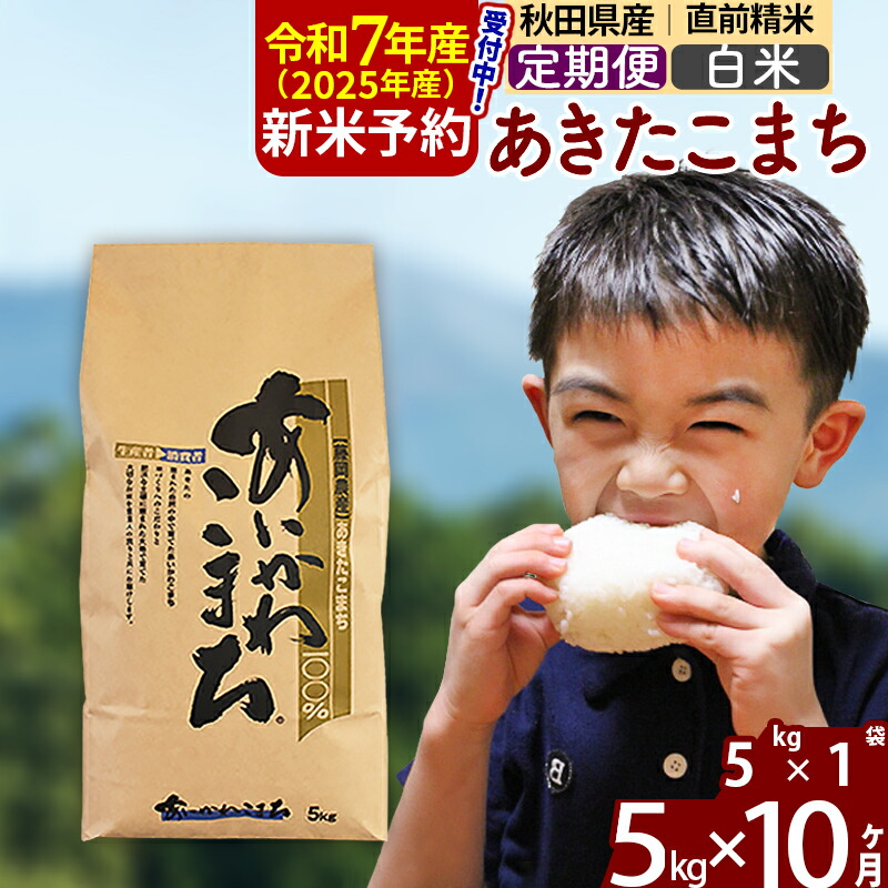 【ふるさと納税】※令和7年産 新米予約※《定期便10ヶ月》秋田県産 あきたこまち 5kg【白米】(5kg小分け袋) 2025年産 お届け周期調整可能 隔月に調整OK お米 藤岡農産