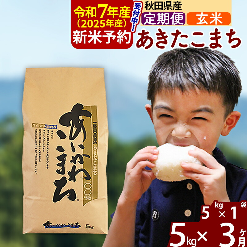 【ふるさと納税】※令和7年産 新米予約※《定期便3ヶ月》秋田県産 あきたこまち 5kg【玄米】(5kg小分け袋) 2025年産 お届け周期調整可能 隔月に調整OK お米 藤岡農産