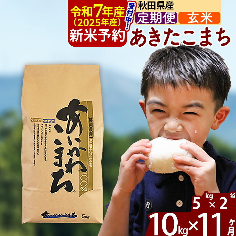 【ふるさと納税】※令和7年産 新米予約※《定期便11ヶ月》秋田県産 あきたこまち 10kg【玄米】(5kg小分け袋) 2025年産 お届け周期調整可能 隔月に調整OK お米 藤岡農産