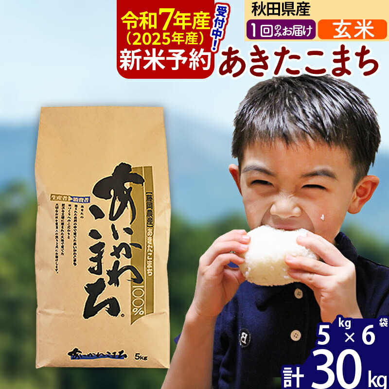 【ふるさと納税】※令和7年産 新米予約※秋田県産 あきたこまち 30kg【玄米】(5kg小分け袋)  【1回のみお届け】2025産 お米 藤岡農産