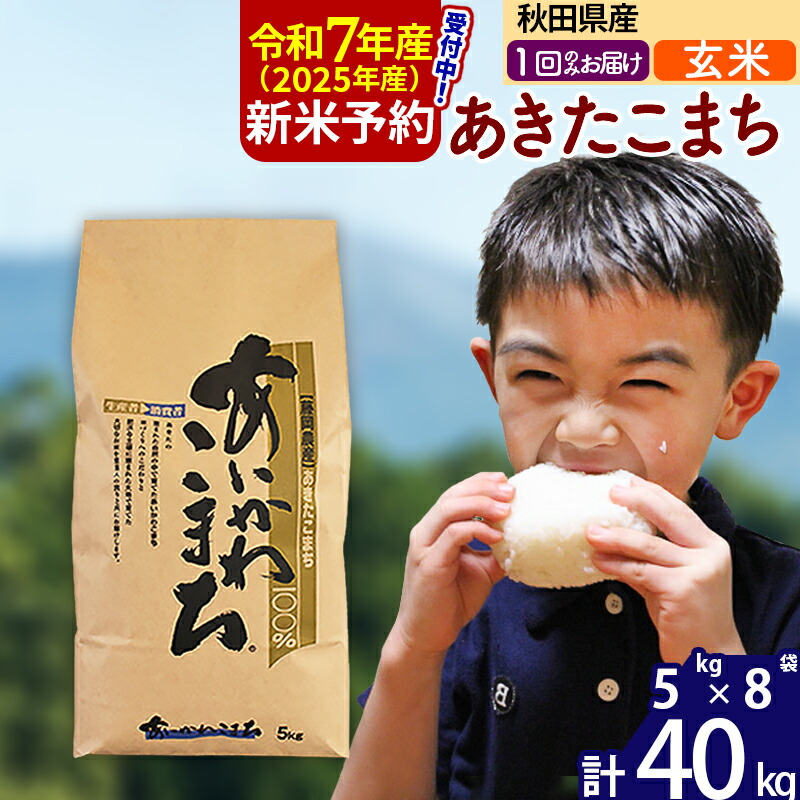 【ふるさと納税】※令和7年産 新米予約※秋田県産 あきたこまち 40kg【玄米】(5kg小分け袋) 【1回のみお届け】2025産 お米 藤岡農産