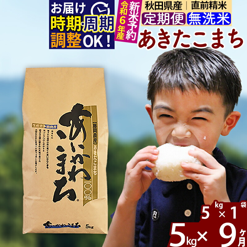 定期便9ヶ月》 秋田県産 5kg 5kg×1袋 5キロ 9か月 9カ月 9ケ月 9ヵ月 ×9回 あきたこまち お届け周期調整可能 お米 一等米 令和3年産  令和4年 時期選べる新米 計45kg 隔月に調整OK 国内在庫 あきたこまち