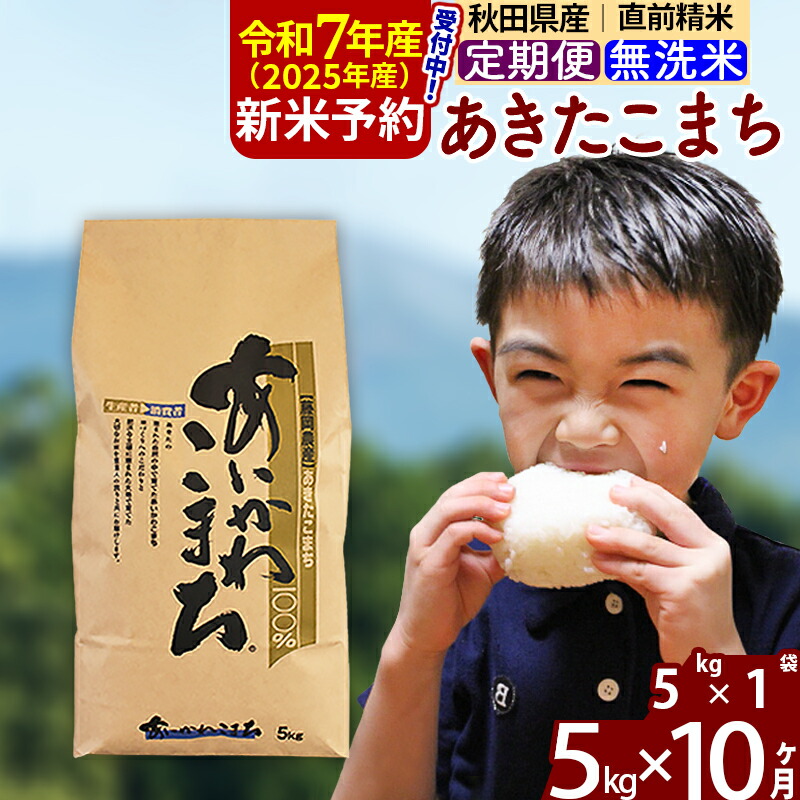 【ふるさと納税】※令和7年産 新米予約※《定期便10ヶ月》秋田県産 あきたこまち 5kg【無洗米】(5kg小分け袋) 2025年産 お届け周期調整可能 隔月に調整OK お米 藤岡農産