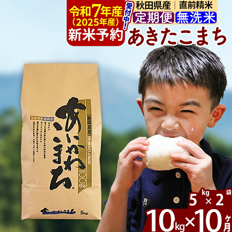 【ふるさと納税】※令和7年産 新米予約※《定期便10ヶ月》秋田県産 あきたこまち 10kg【無洗米】(5kg小分け袋) 2025年産 お届け周期調整可能 隔月に調整OK お米 藤岡農産