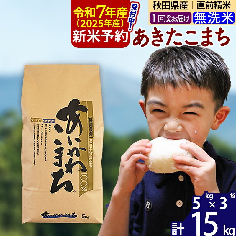 【ふるさと納税】※令和7年産 新米予約※秋田県産 あきたこまち 15kg【無洗米】(5kg小分け袋)【1回のみお届け】2025産 お米 藤岡農産