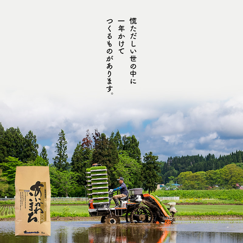  《定期便9ヶ月》  秋田県産 あきたこまち 10kg (5kg×2袋)×9回 計90kg 令和4年産 時期選べる お届け周期調整可能 隔月に調整OK  一等米  9か月 9ヵ月 9カ月 9ケ月 10キロ お米