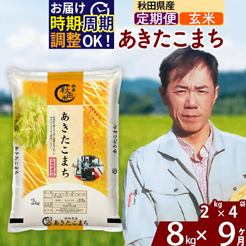 ふるさと納税】※令和7年産 新米※《定期便9ヶ月》秋田県産 あきたこまち