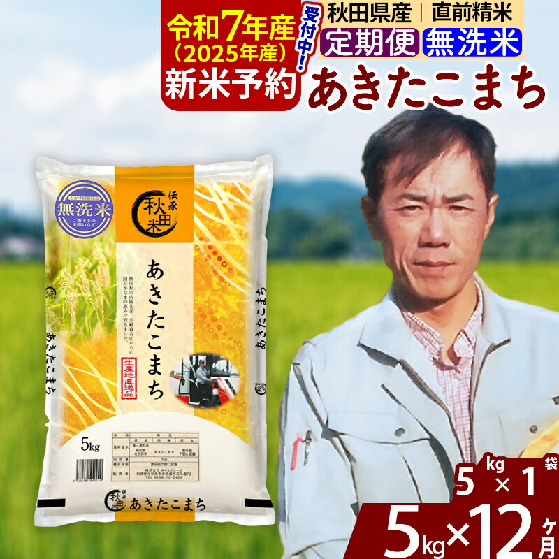 【ふるさと納税】※令和7年産 新米予約※《定期便12ヶ月》秋田県産 あきたこまち 5kg【無洗米】(5kg小分け袋) 2025年産 お届け周期調整可能 隔月に調整OK お米 みそらファーム