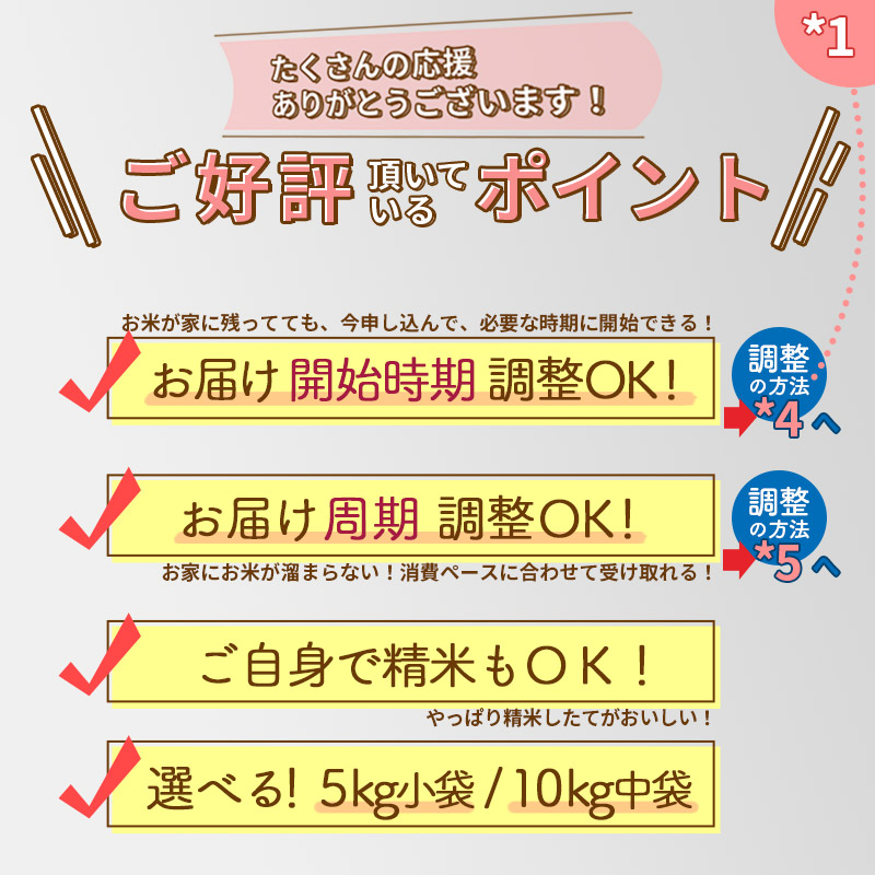 定期便5ヶ月》 秋田県産 あきたこまち 小分け・中袋 5か月 隔月に調整