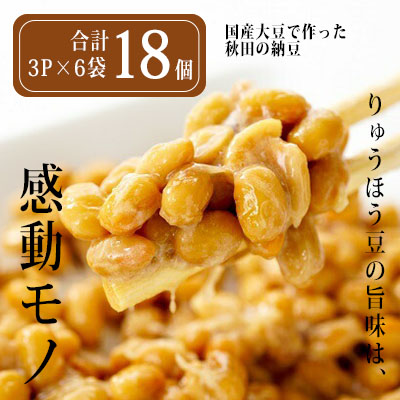 楽天市場 ふるさと納税 No 216 茨城県産大豆 舟納豆 15本セット 茨城県常陸大宮市