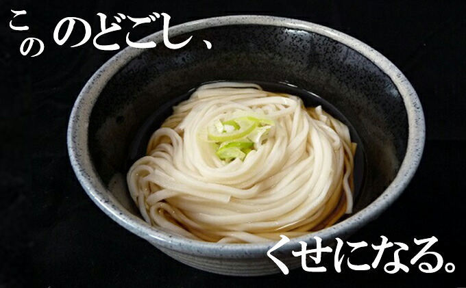 楽天市場 ふるさと納税 喉越しの良い象潟うどんとひやむぎセット 各5束合計10束 20人前 乾麺 麺類 うどん ひやむぎ 冷や麦 冷麦 乾麺 大量 長期保存 秋田県にかほ市