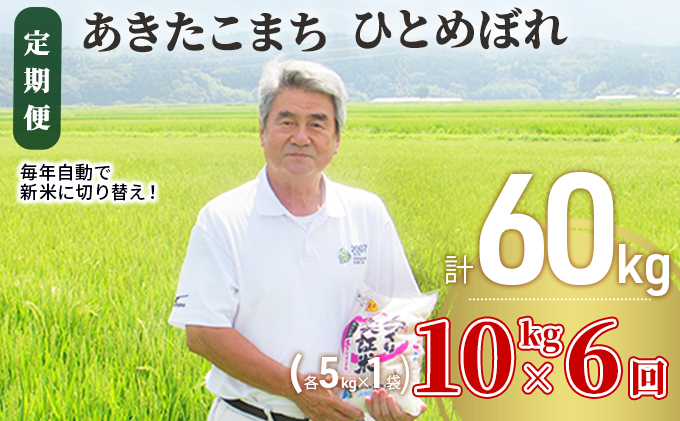 ふるさと納税 6ヵ月 定期便 米10kg 各5kg 6回 あきたこまち ひとめぼれ 食べ比べ 計60kg 定期便 お米 あきたこまち ひとめぼれ ブランド米 食べ比べ 6ヶ月 6回 半年 Dwellingplaceint Org