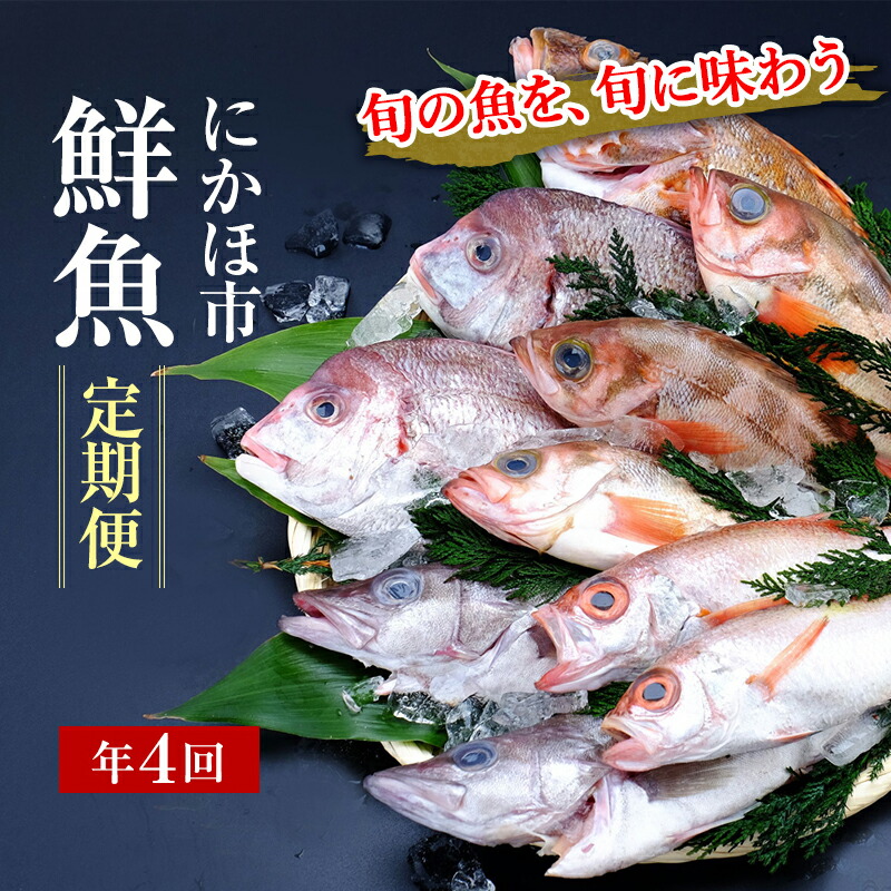 【ふるさと納税】鮮魚 定期便 年4回 開けたらすぐ食べられる日本海の鮮魚 2～3人前 セット 魚 詰め合わせ 海鮮セット 食べ比べ 鮮魚ボックス 海鮮 海産物 海の幸 魚介 魚介類 刺身 切り身 ひらめ 鯛 甘エビ 鯵 あんこう 鮭 カレイ ハタハタ 鱈 ズワイガニ 冷蔵 定期
