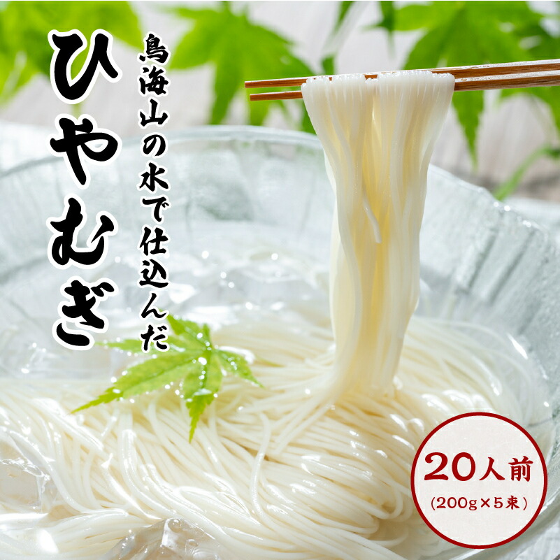 【ふるさと納税】喉越しの良い象潟うどんとひやむぎセット(各5束合計10束 20人前 乾麺） 麺類 冷や麦 冷麦 大量 長期保存