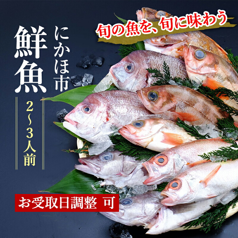 【ふるさと納税】鮮魚 開けたらすぐ食べられる下処理済み 海産物 2～3人前 セット 日本海の鮮魚 魚 パック 詰め合わせ 海鮮セット 鮮魚ボックス 海鮮 海の幸 魚介 魚介類 刺身 切り身 ひらめ 鯛 甘エビ 鯵 あんこう 鮭 カレイ ハタハタ 鱈 ズワイガニ 食べ比べ 冷蔵