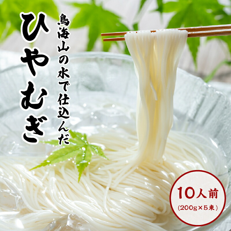 【ふるさと納税】ひやむぎ200g×5束（10人前 冷麦 冷や麦） 麺類
