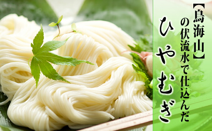 9750円 人気定番 ひやむぎ5束 10人前 の定期便 5ヵ月連続