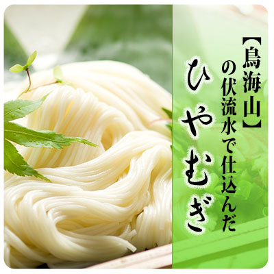 【ふるさと納税】ひやむぎ5束（10人前）の定期便（8ヵ月連続） 麺類 冷麦