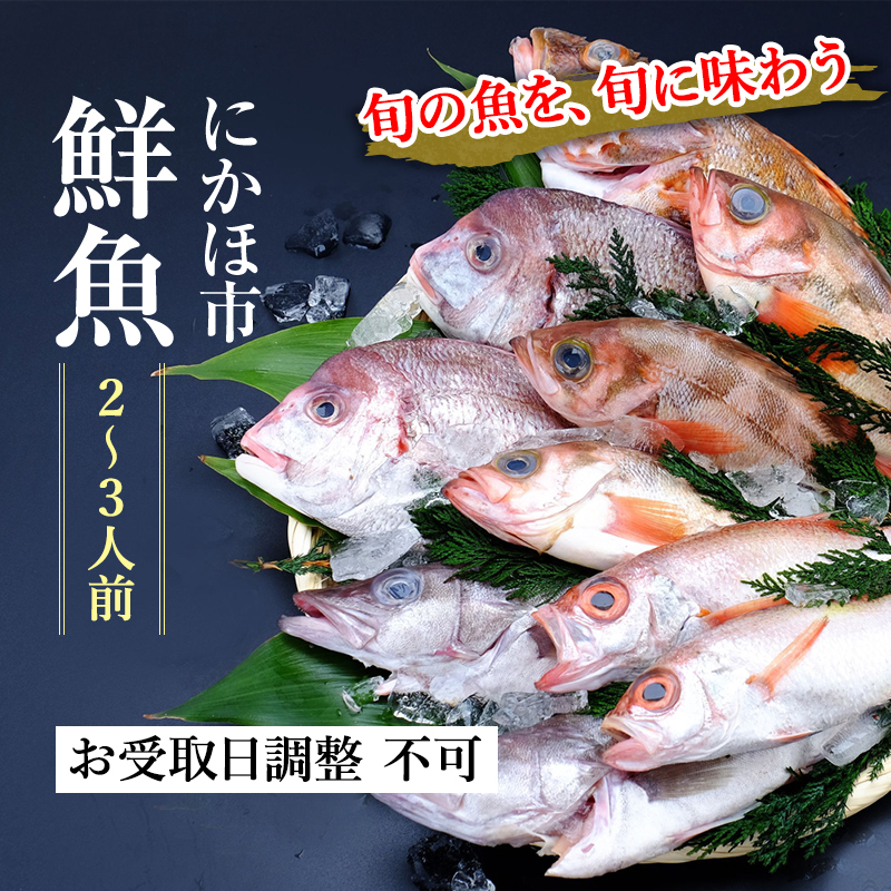 楽天市場】【ふるさと納税】開けたらすぐ食べられる日本海の鮮魚詰合せ