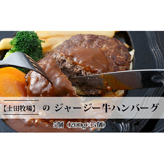 【ふるさと納税】ジャージー牛を使用した ハンバーグ 5個（200g×5個） お肉 加工食品 惣菜 レトルト