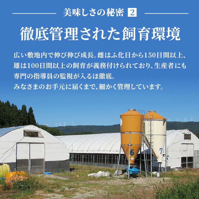 【ふるさと納税】秋田県産比内地鶏肉の定期便塩こしょう味450g×12ヶ月(150g×3袋×12回小分け定期便モモ肉ムネ肉)【定期便・お肉鶏肉ムネモモ肉の加工品比内地鶏】