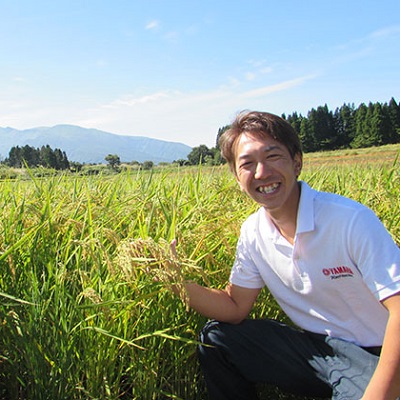 送料無料・選べる4個セット ふるさと納税 《定期便》16kg×12ヶ月 秋田