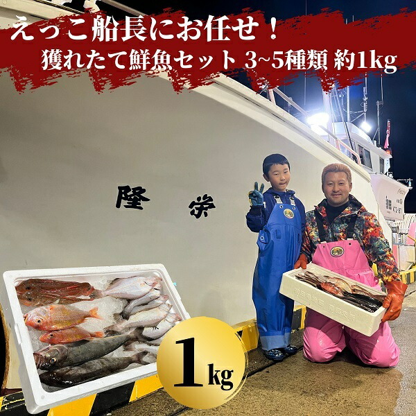 【ふるさと納税】えっこ船長にお任せ！獲れたて鮮魚セット 3～5種類 約1kg（鮮魚 詰合せ ボックス）　 魚介類 鮮魚セット
