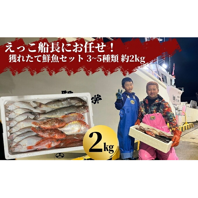 【ふるさと納税】えっこ船長にお任せ！獲れたて鮮魚セット 3～5種類 約2kg（鮮魚 詰合せ ボックス）　 鮮魚セット 鮮魚