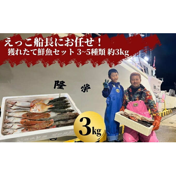 【ふるさと納税】えっこ船長にお任せ！獲れたて鮮魚セット 3～5種類 約3kg（鮮魚 詰合せ ボックス）　 魚介類 鮮魚セット
