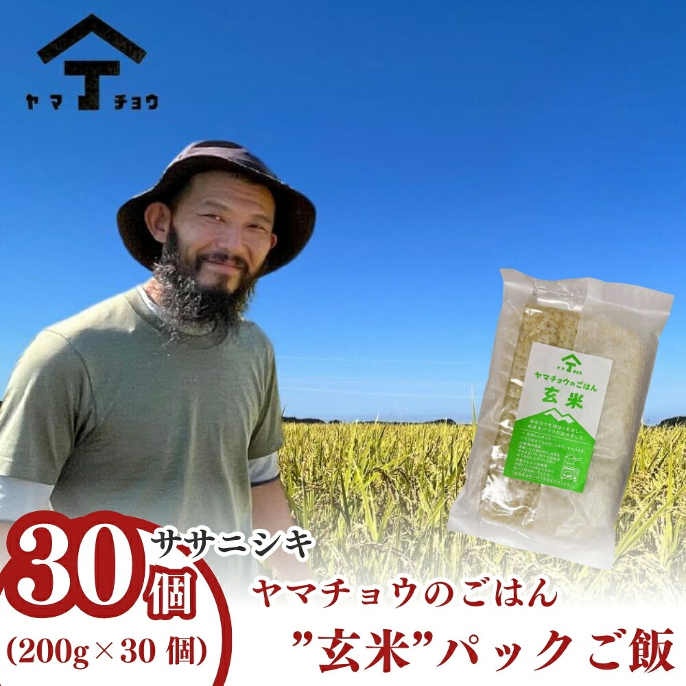 【ふるさと納税】ヤマチョウのごはん パックご飯 玄米 ササニシキ 200g×30個セット 秋田県産　お届け：ご入金確認後、2週間から1ヶ月程度でお届けします。