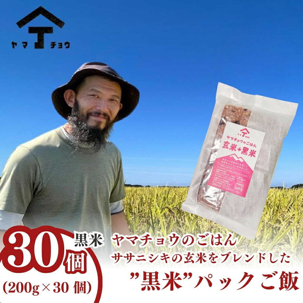 【ふるさと納税】ヤマチョウのごはん パックご飯 玄米 黒米ブレンドごはん 200g×30個セット 秋田県産　お届け：ご入金確認後、2週間から1ヶ月程度でお届けします。