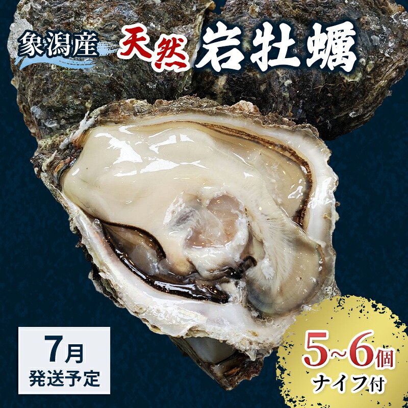 【ふるさと納税】【 先行予約 7月上旬～下旬発送予定】にかほ市産 岩牡蠣 5～6個 ナイフ付【 牡蠣 夏牡蠣 かき 象潟 魚介類 加熱用 海鮮 海産物 海の幸 】　お届け：2026年7月1日～2026年8月10日※状況によって希望通りお届けできない場合もあります。｜秋田県にかほ市 14,910円