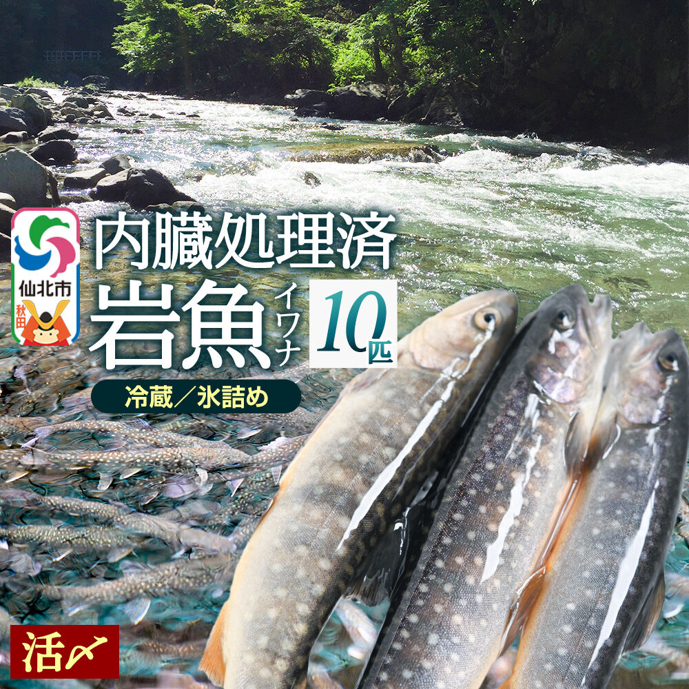 【楽天市場】【ふるさと納税】岩魚(イワナ)活け〆 内臓処理済み 氷詰め 10匹 長四郎:秋田県仙北市