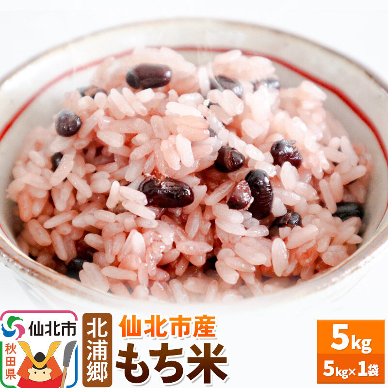 【ふるさと納税】米 仙北市産 令和7年産 もち米 5kg1袋