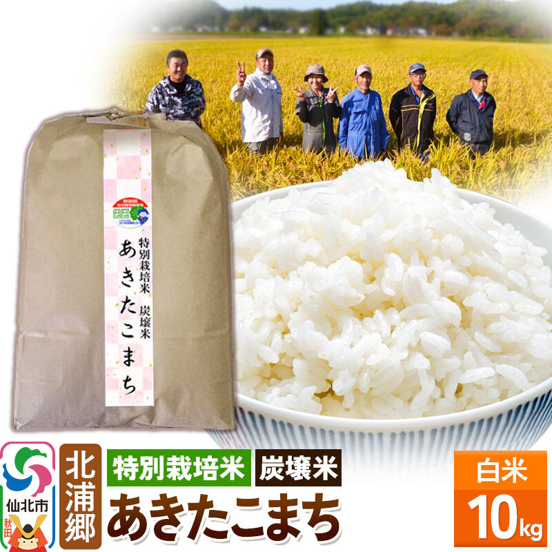 【ふるさと納税】【特別栽培米 炭壌米 あきたこまち】令和7年産 白米 10kg [食味ランキング 特A 通算22回 産地 秋田県 仙北市 産米 お米]