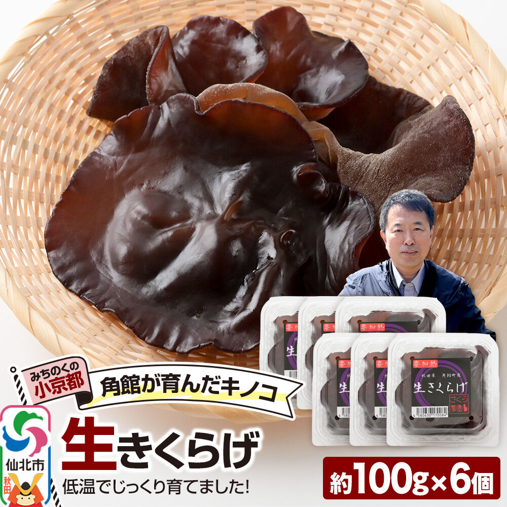【ふるさと納税】みちのくの小京都・角館が育んだ「生きくらげ」約100g&times;6個 [きくらげ 木耳 キクラゲ 生 肉厚 秋田県 仙北市 角館]｜秋田県仙北市