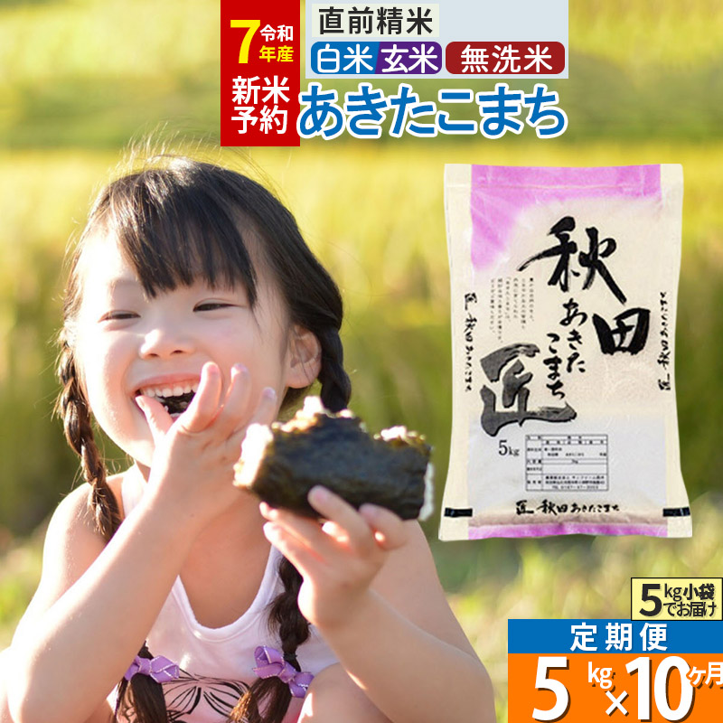 【ふるさと納税】【白米／玄米／無洗米】※R７新米予約※《定期便10ヶ月》秋田県産 あきたこまち 5kg (5kg×1袋)×10回 令和7年産 周期調整OK 隔月配送OK お米 新米