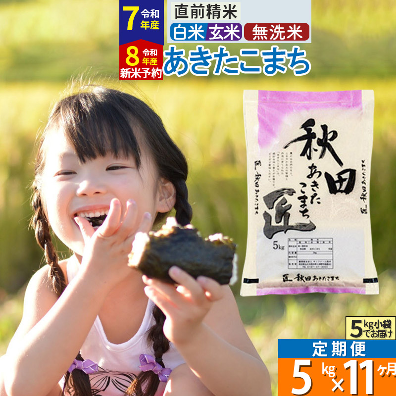 【ふるさと納税】【白米／玄米／無洗米】※R7／R8新米予約※《定期便11ヶ月》秋田県産 あきたこまち 5kg (5kg×1袋)×11回 令和7年産 令和8年産 お米 匠