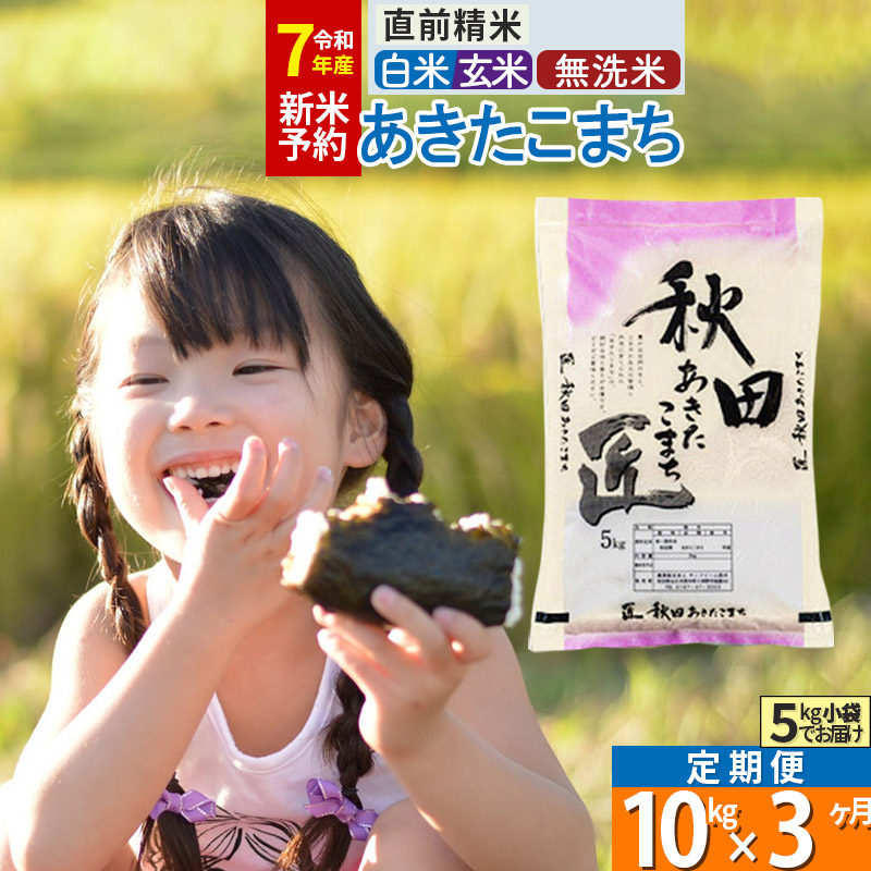 【ふるさと納税】【白米／玄米／無洗米】※R７新米予約※《定期便3ヶ月》秋田県産 あきたこまち 10kg (5kg×2袋)×3回 令和7年産 周期調整OK 隔月配送OK お米 新米