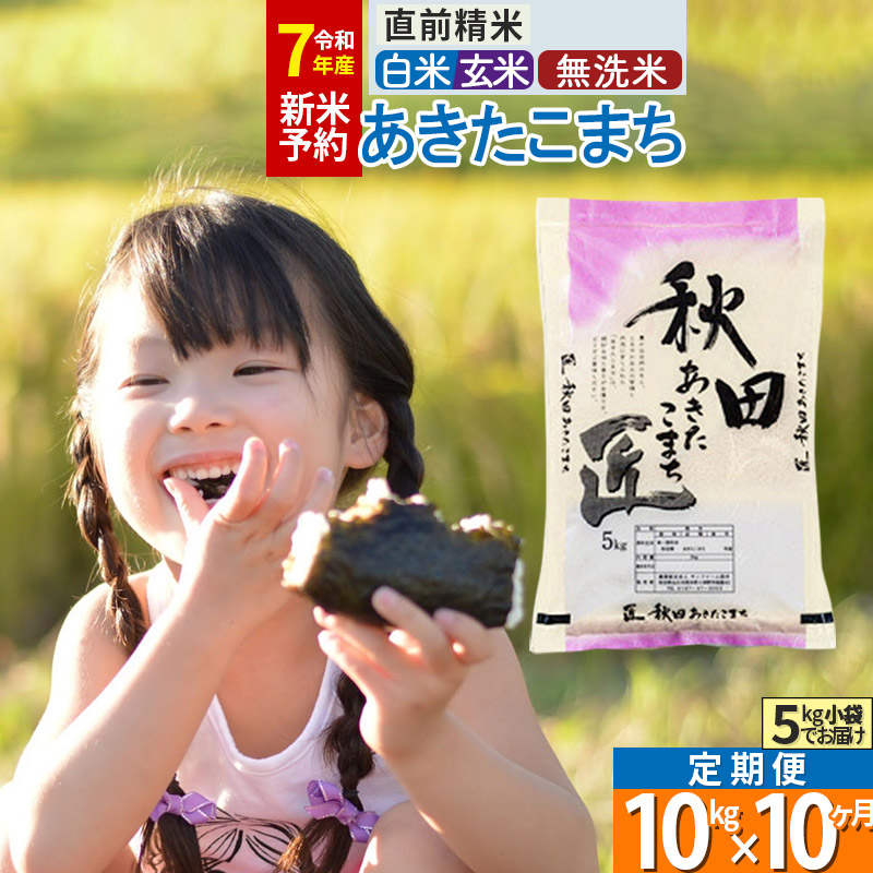 【ふるさと納税】【白米／玄米／無洗米】※R７新米予約※《定期便10ヶ月》秋田県産 あきたこまち 10kg (5kg×2袋)×10回 令和7年産 周期調整OK 隔月配送OK お米 新米