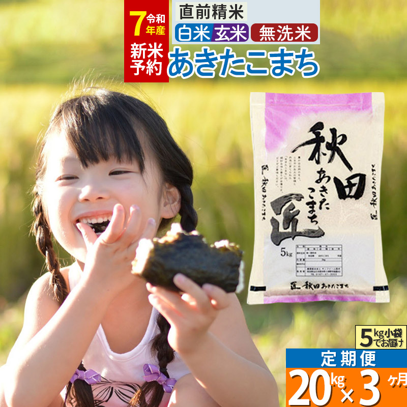 【ふるさと納税】【白米／玄米／無洗米】※R７新米予約※《定期便3ヶ月》秋田県産 あきたこまち 20kg (5kg×4袋)×3回 令和7年産 周期調整OK 隔月配送OK お米 新米