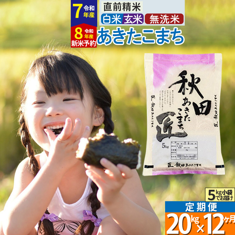 【ふるさと納税】【白米／玄米／無洗米】※R7／R8新米予約※《定期便12ヶ月》秋田県産 あきたこまち 20kg (5kg×4袋)×12回 令和7年産 令和8年産 お米 匠