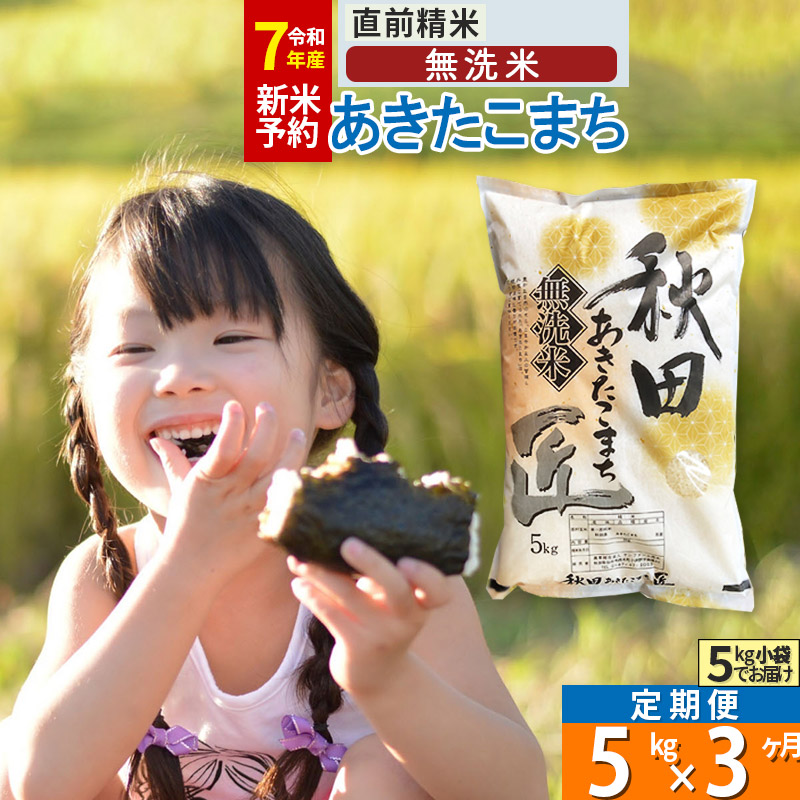 【ふるさと納税】【無洗米】※R７新米予約※《定期便3ヶ月》秋田県産 あきたこまち 5kg (5kg×1袋) ×3回 令和7年産 周期調整OK 隔月配送OK お米 新米